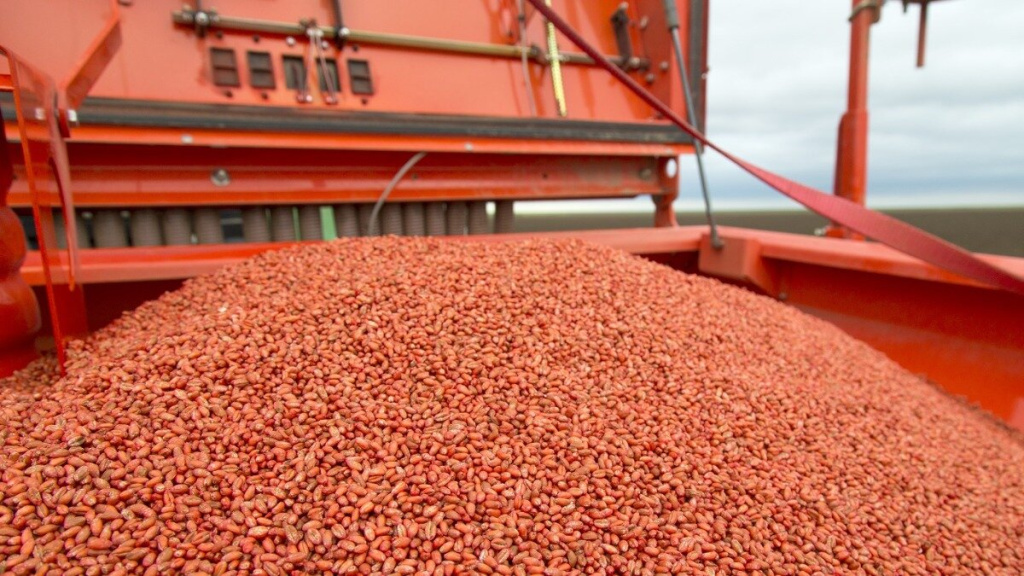 scale_1200 (1).jpeg scale_1200 (1).jpeg